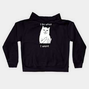 i do what I want sacrcastic cat memes Kids Hoodie